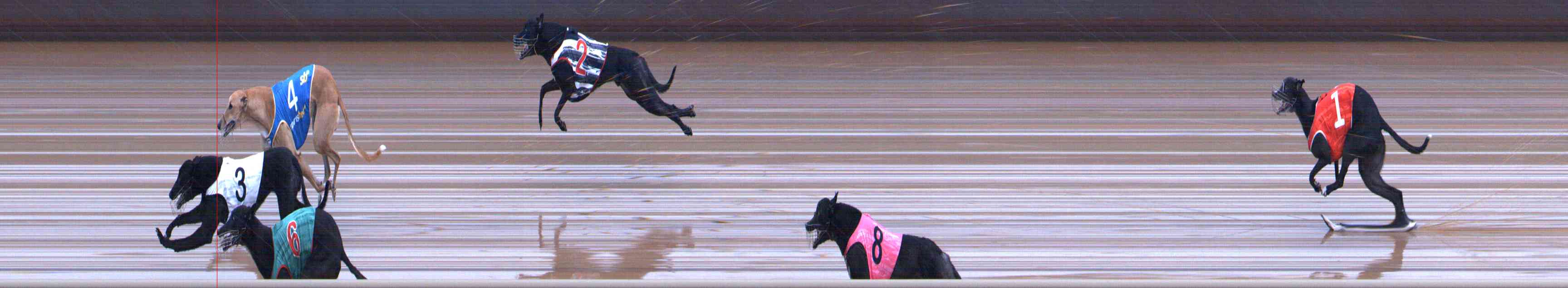 Photo finish for Healesville Race 11