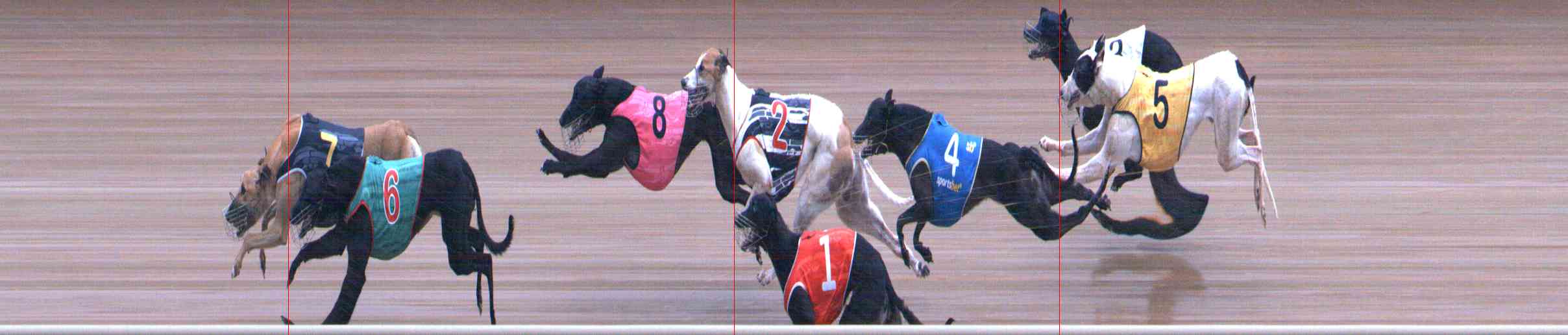 Photo finish for Healesville Race 12