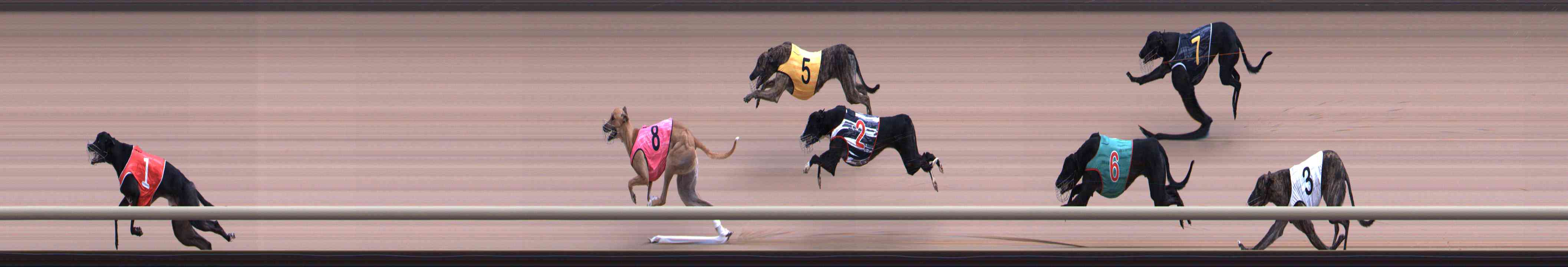 Race result finish photo