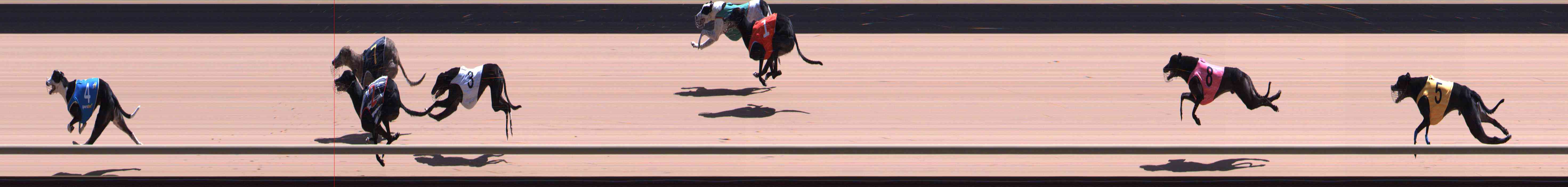 Race result finish photo