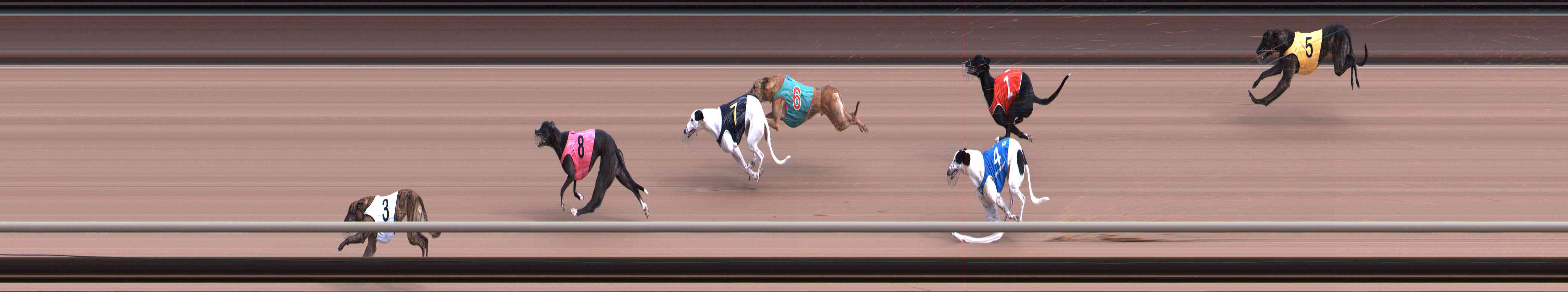 Race result finish photo