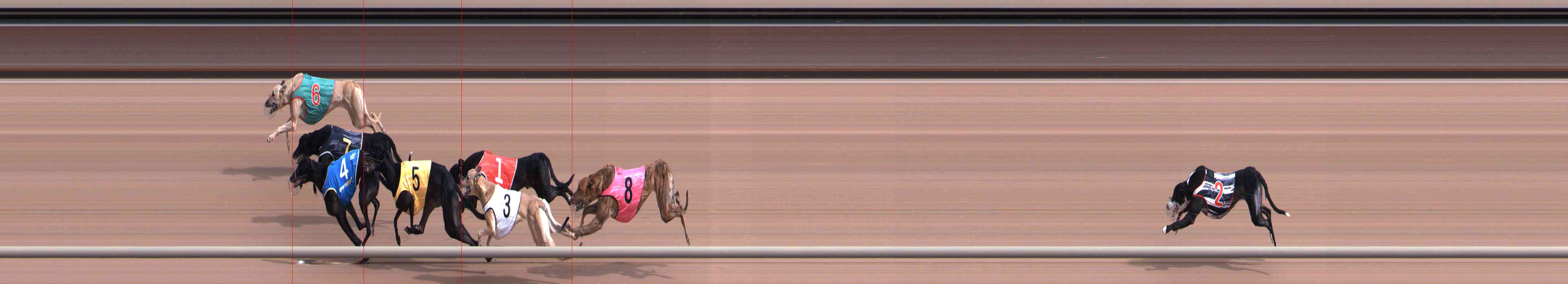 Photo finish for Healesville Race 2