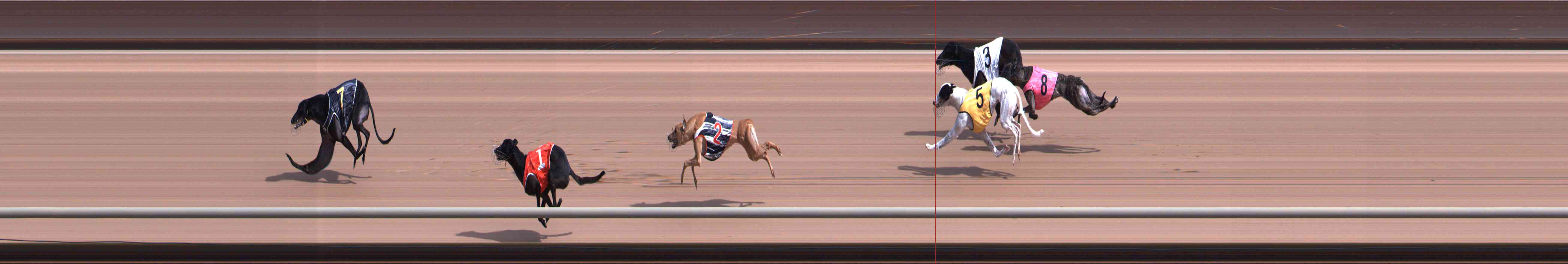 Photo finish for Healesville Race 3