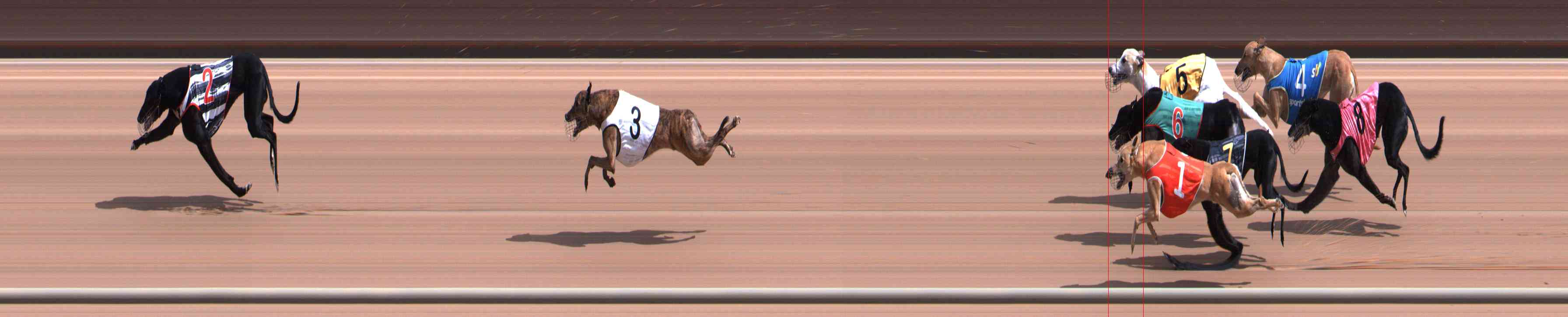 Photo finish for Healesville Race 4