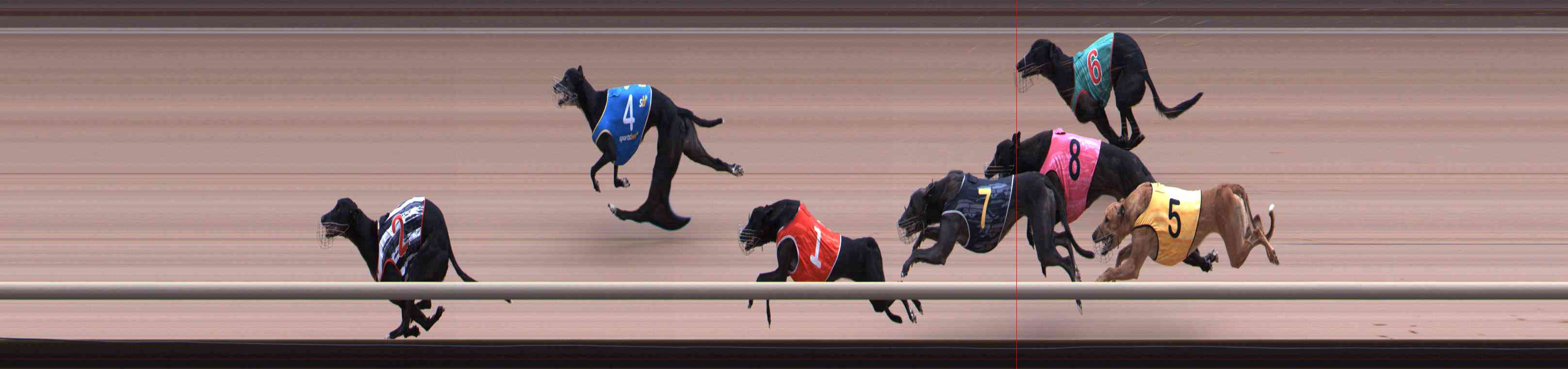 Photo finish for Healesville Race 5