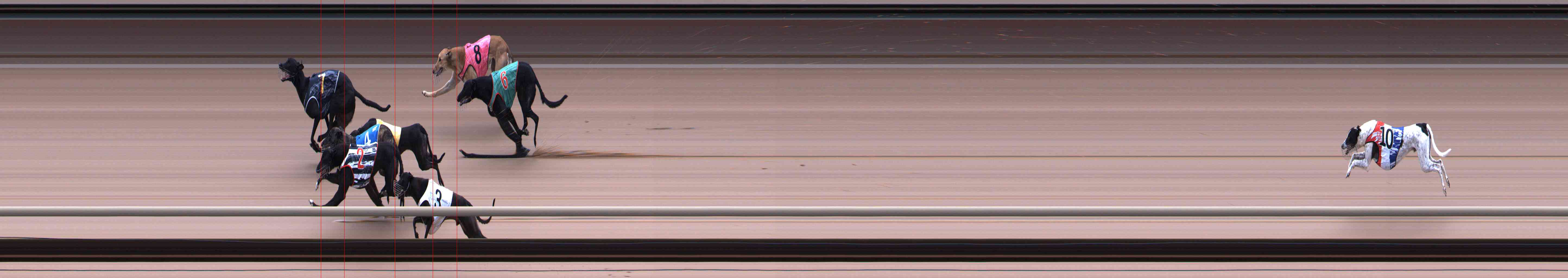 Photo finish for Healesville Race 6