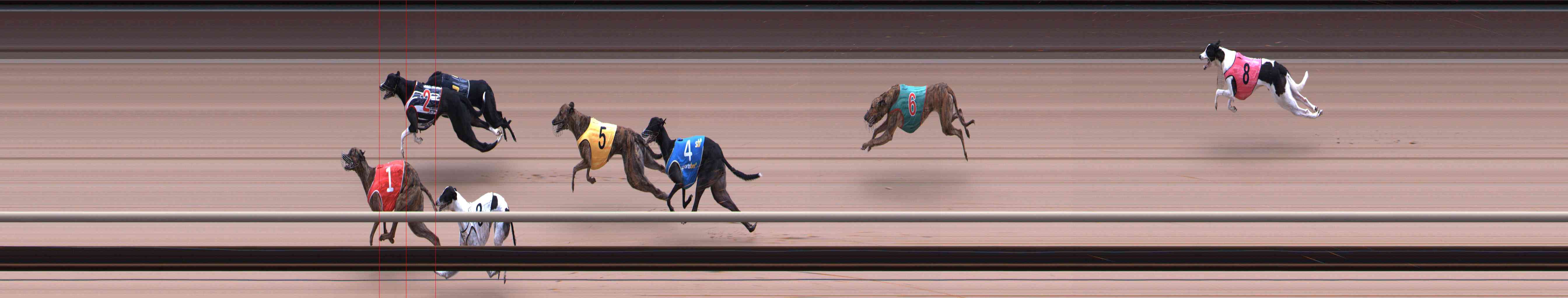 Photo finish for Healesville Race 7