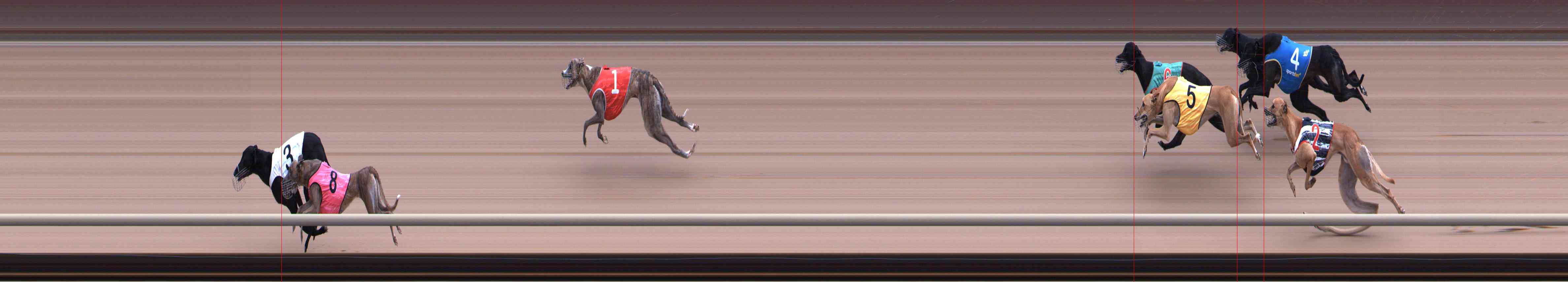 Photo finish for Healesville Race 8
