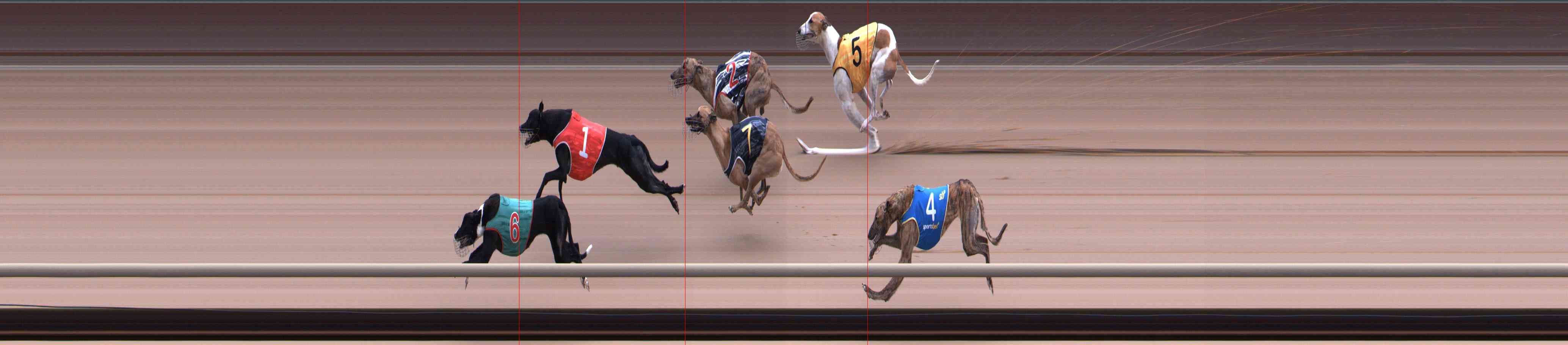 Photo finish for Healesville Race 9