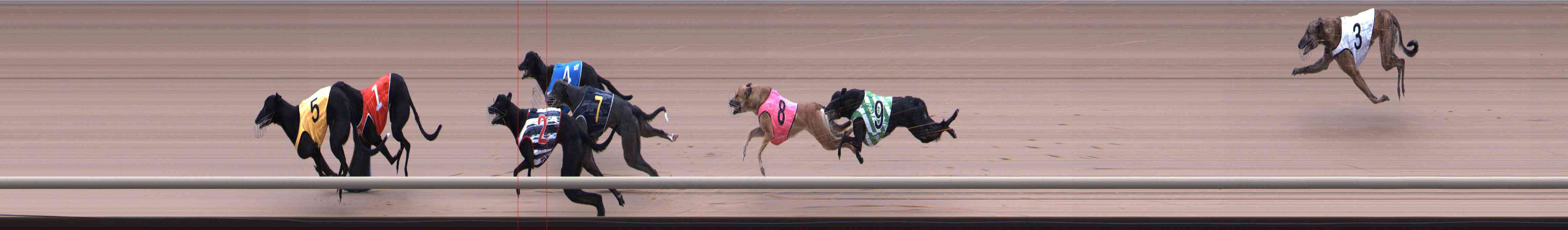 Photo finish for Healesville Race 10