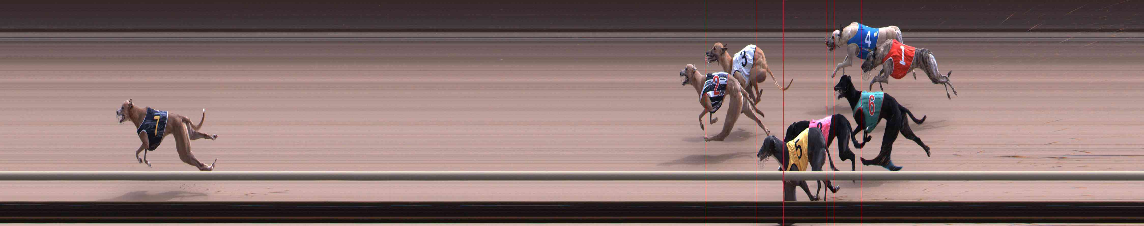 Photo finish for Healesville Race 11