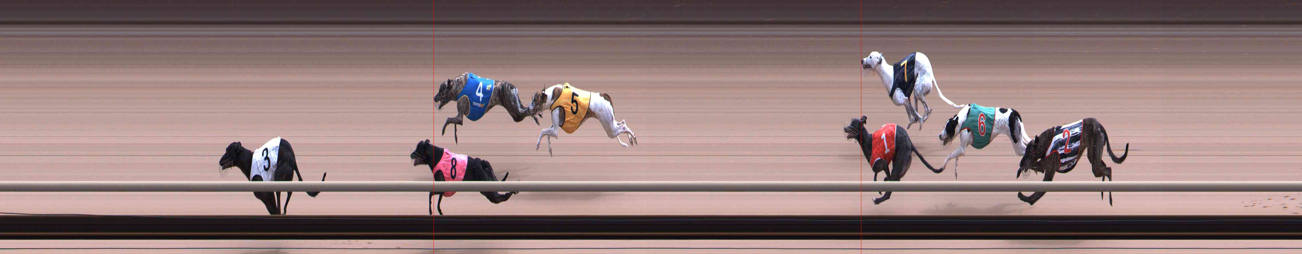 Photo finish for Healesville Race 12