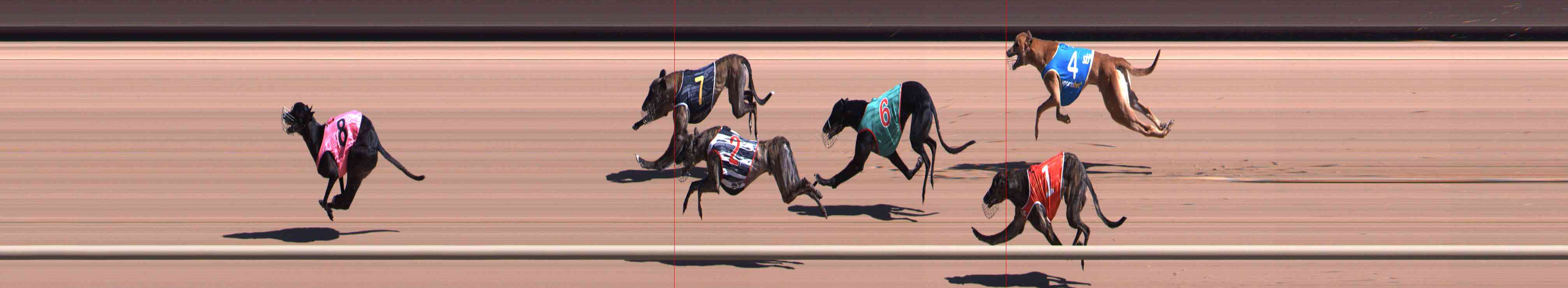 Photo finish for Healesville Race 2