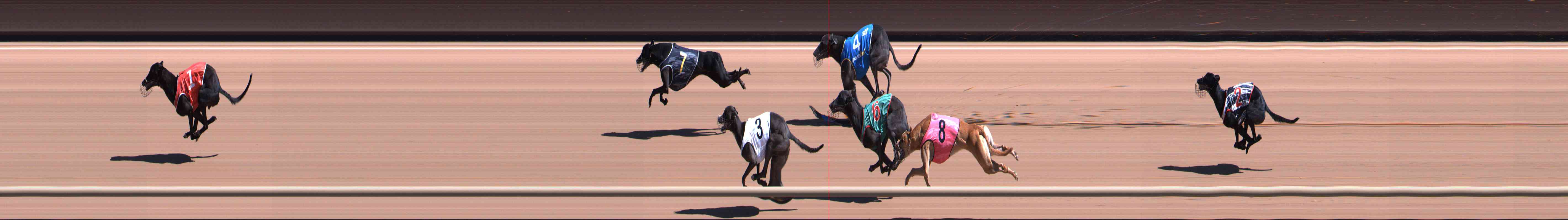 Photo finish for Healesville Race 3