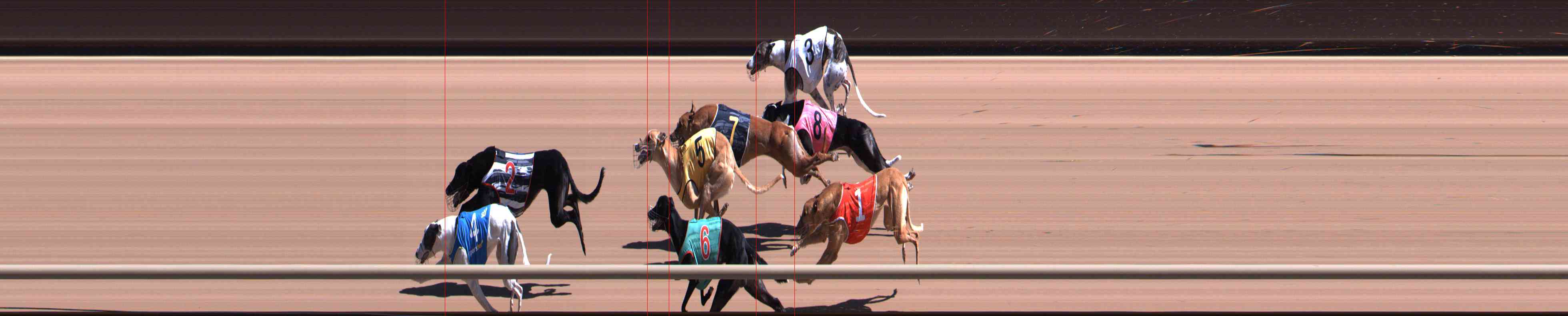 Photo finish for Healesville Race 4