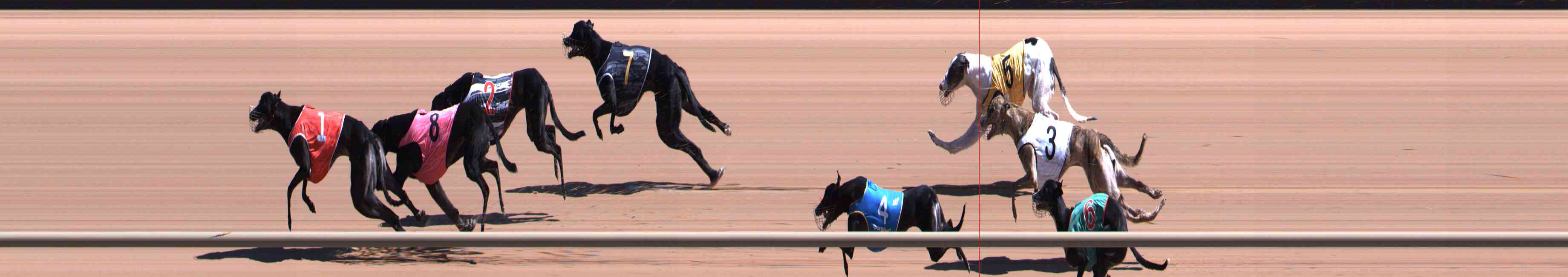Photo finish for Healesville Race 5