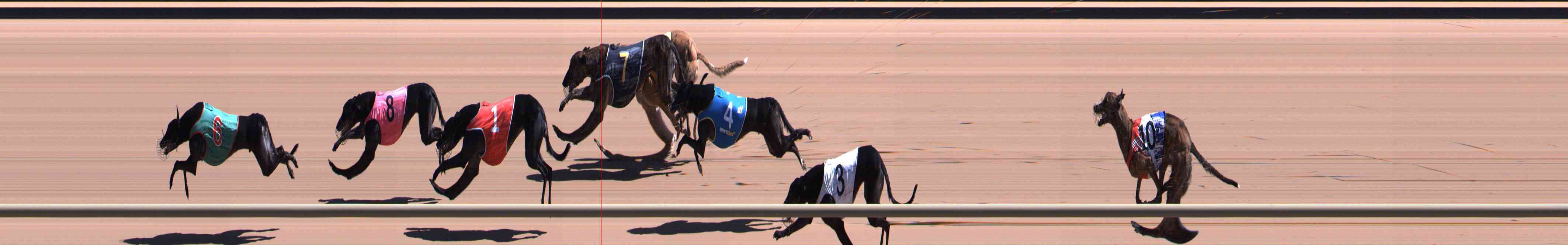 Photo finish for Healesville Race 6