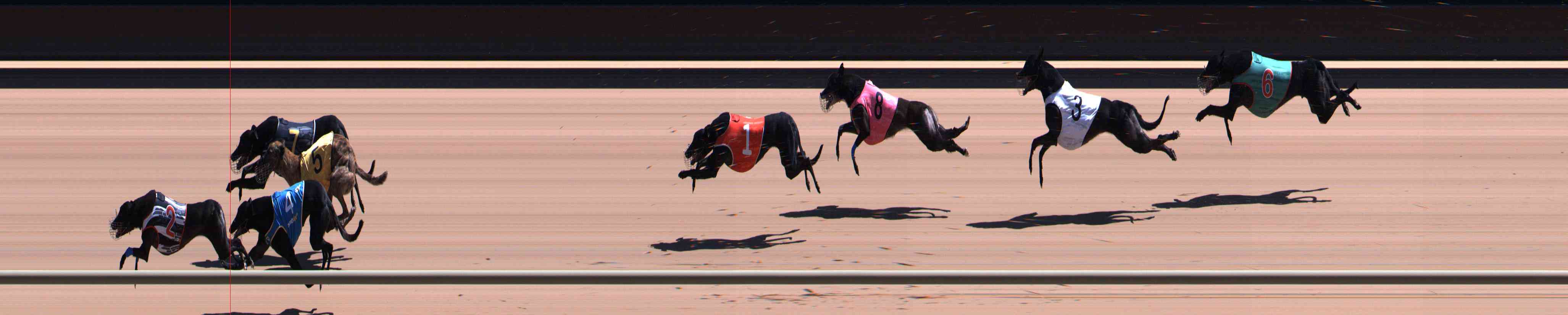 Photo finish for Healesville Race 7