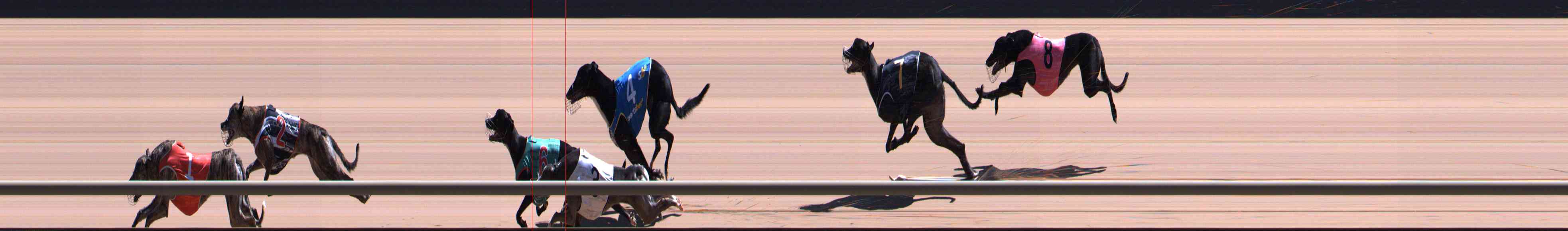 Photo finish for Healesville Race 10