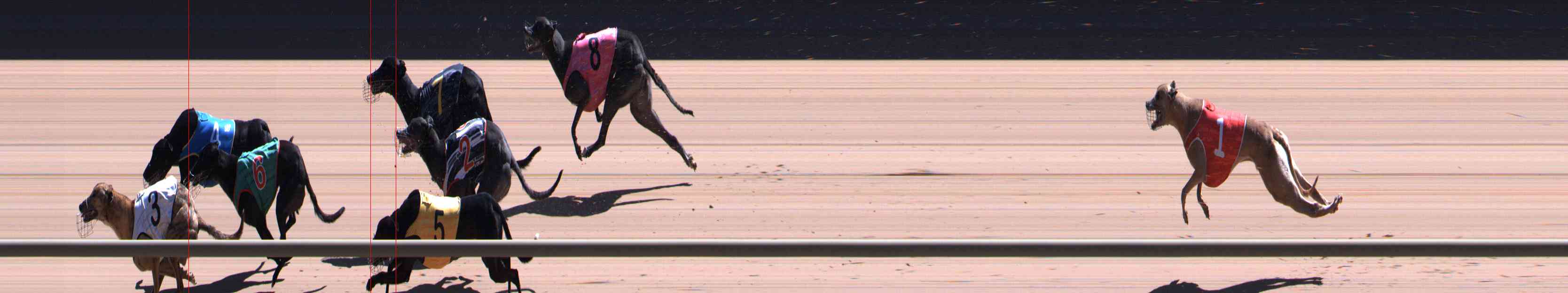 Photo finish for Healesville Race 11