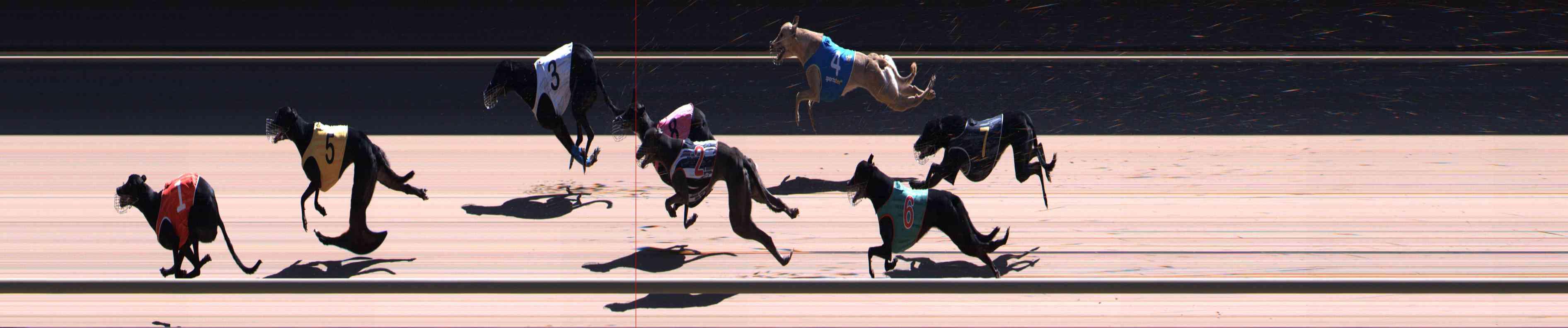 Photo finish for Healesville Race 12