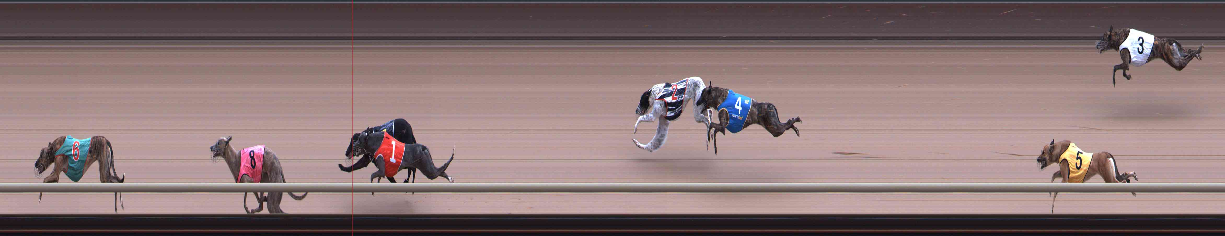 Photo finish for Healesville Race 2
