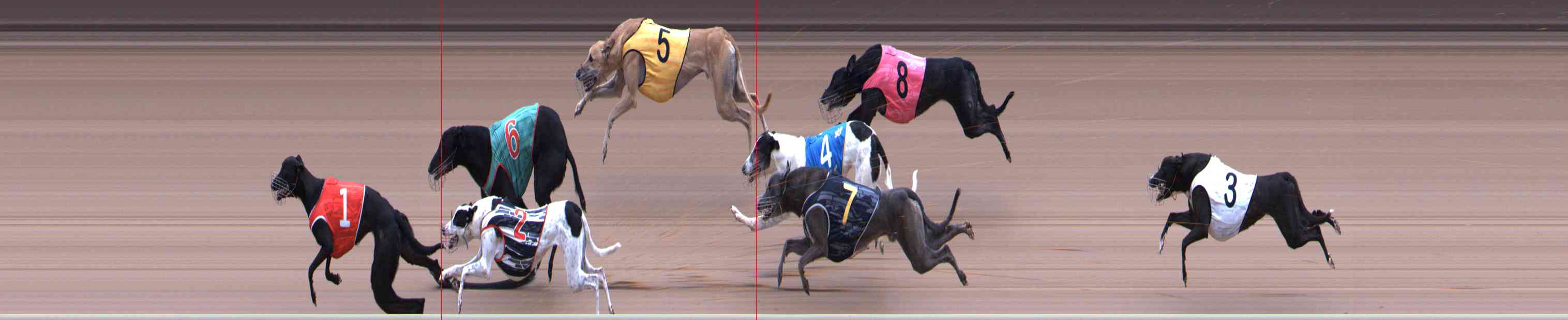 Photo finish for Healesville Race 4