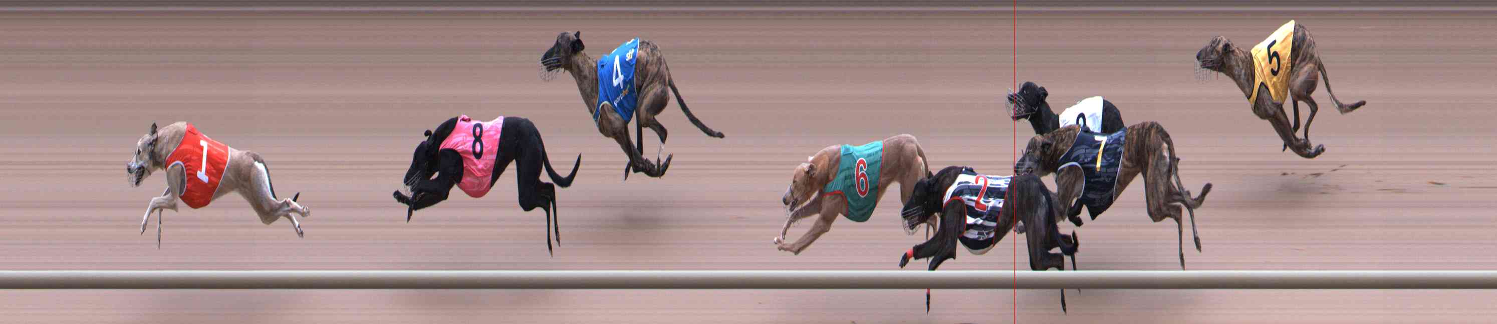 Photo finish for Healesville Race 5