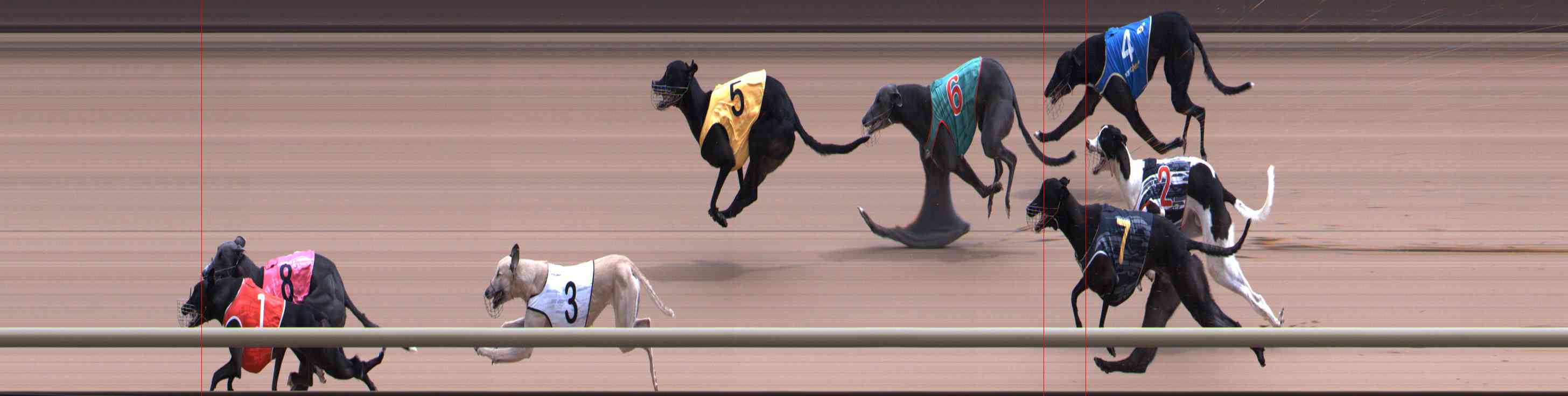Photo finish for Healesville Race 6