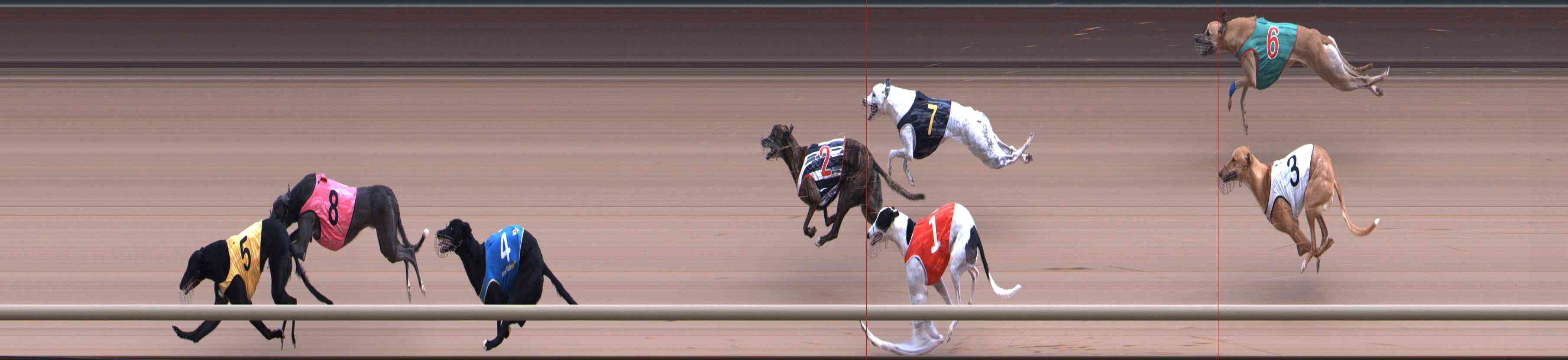 Photo finish for Healesville Race 7