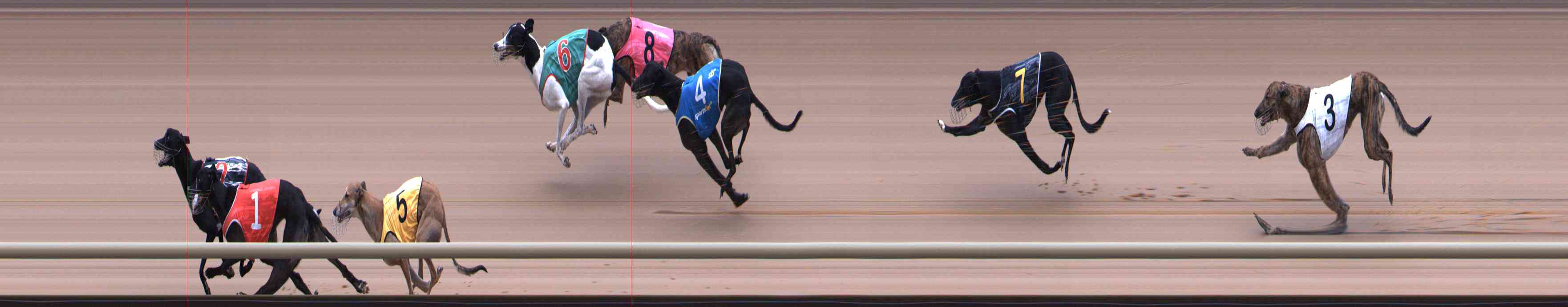 Photo finish for Healesville Race 8