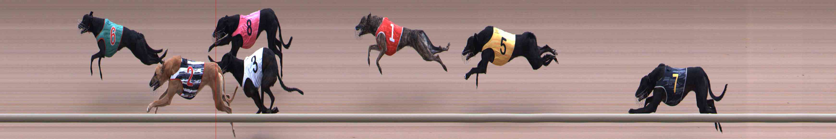 Photo finish for Healesville Race 9