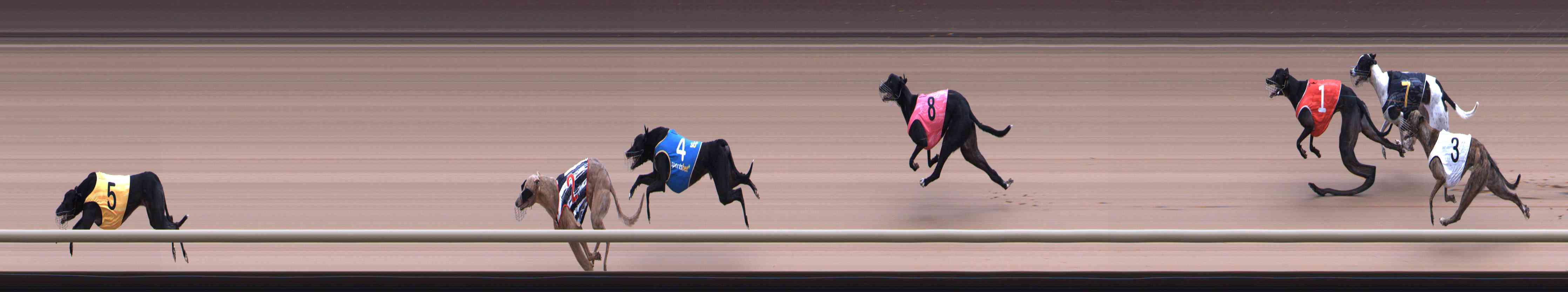 Photo finish for Healesville Race 10