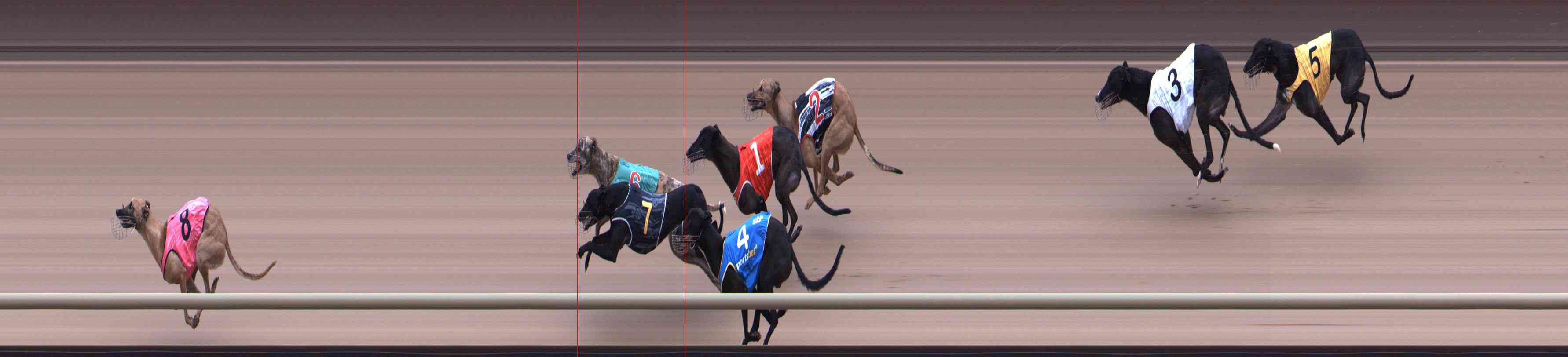 Photo finish for Healesville Race 11