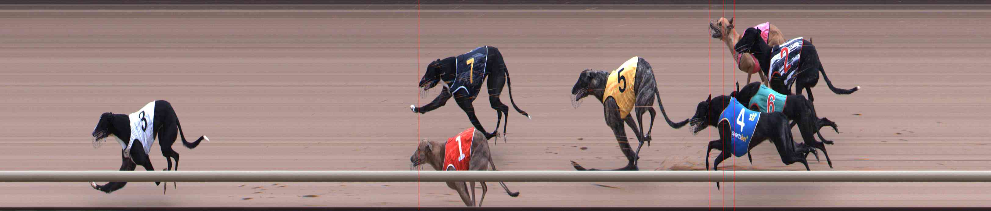 Photo finish for Healesville Race 12