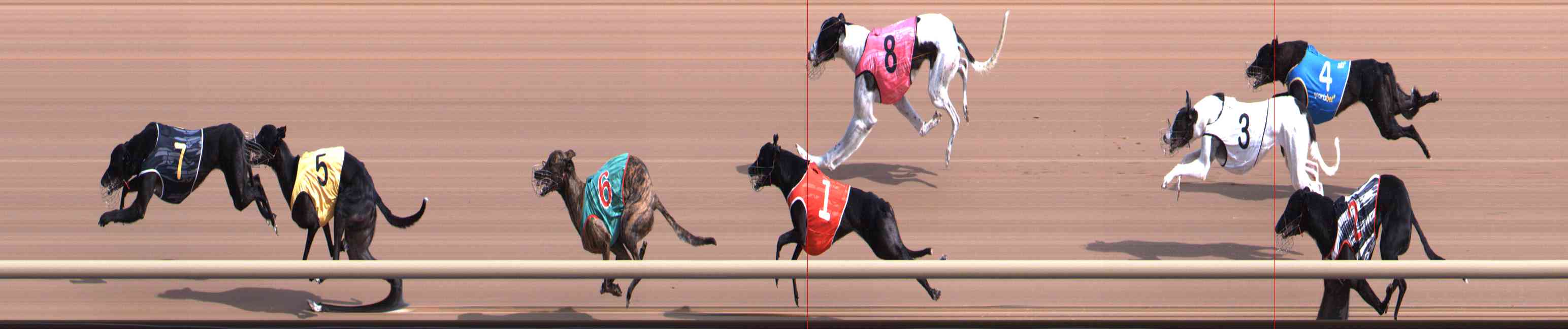 Photo finish for Healesville Race 2