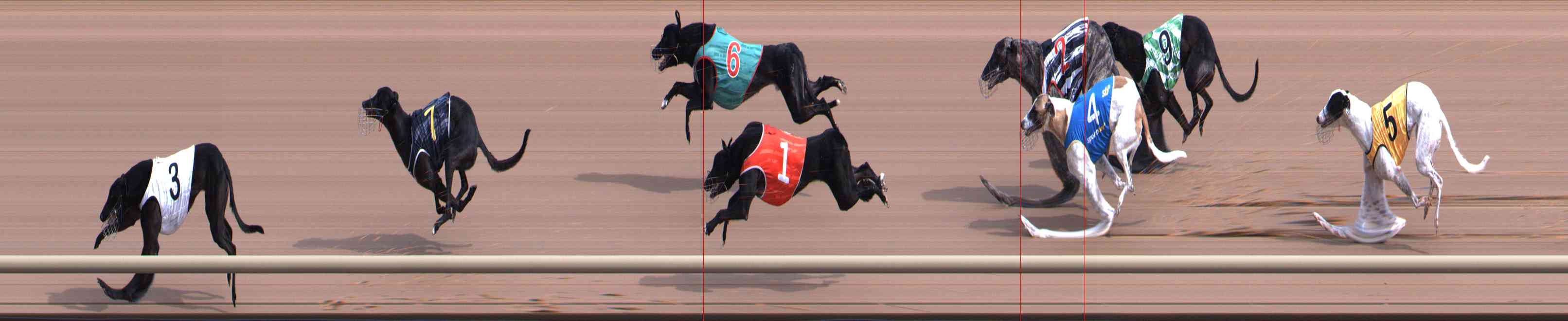 Photo finish for Healesville Race 3