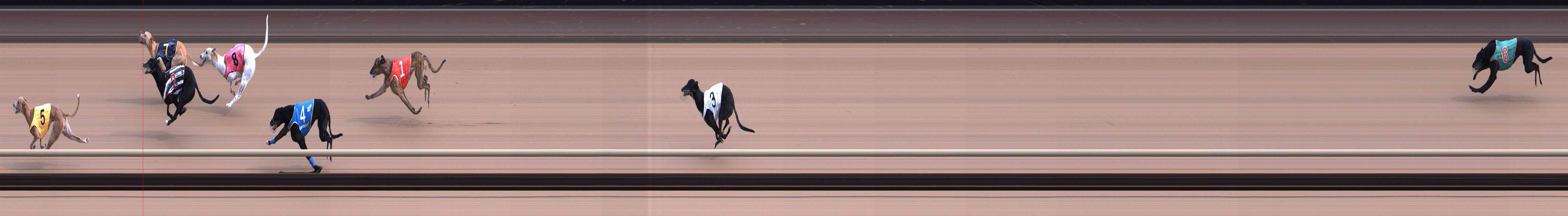 Photo finish for Healesville Race 4
