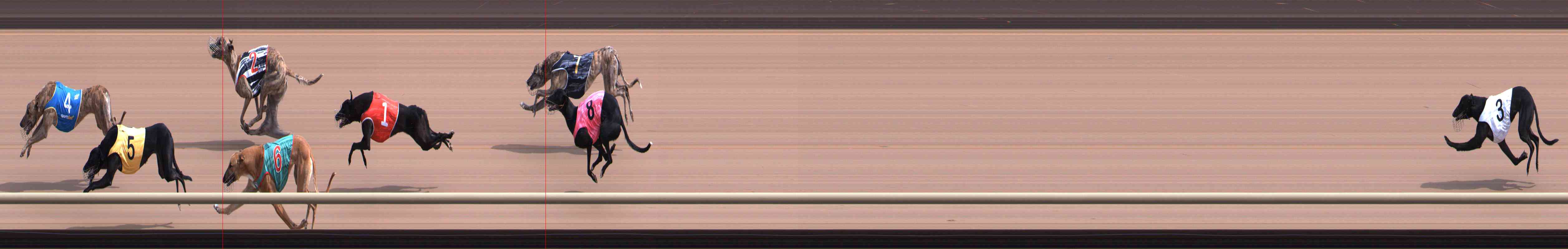 Photo finish for Healesville Race 5
