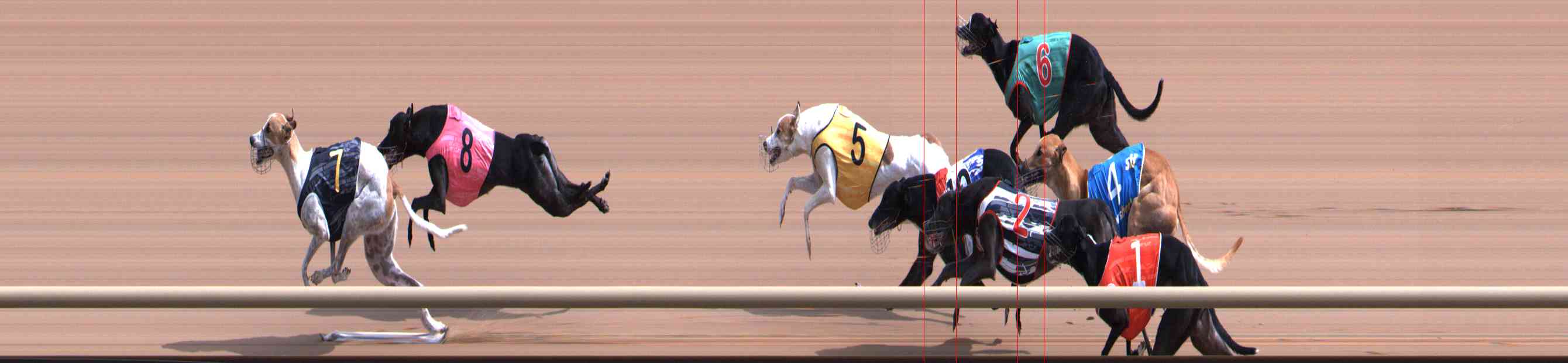 Photo finish for Healesville Race 6