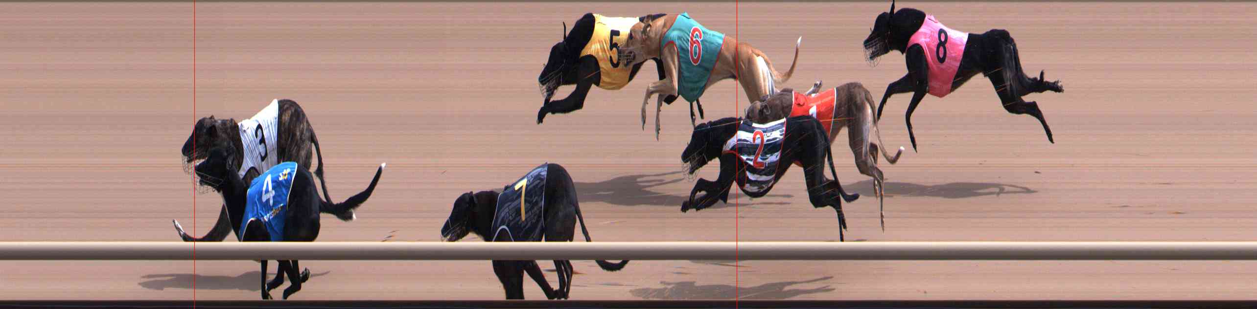Race result finish photo
