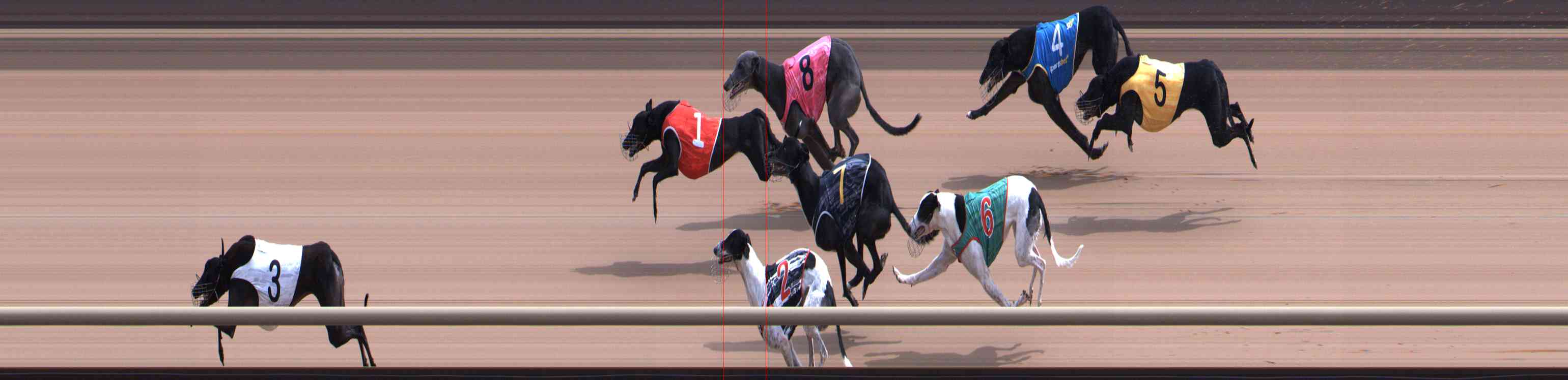 Photo finish for Healesville Race 9