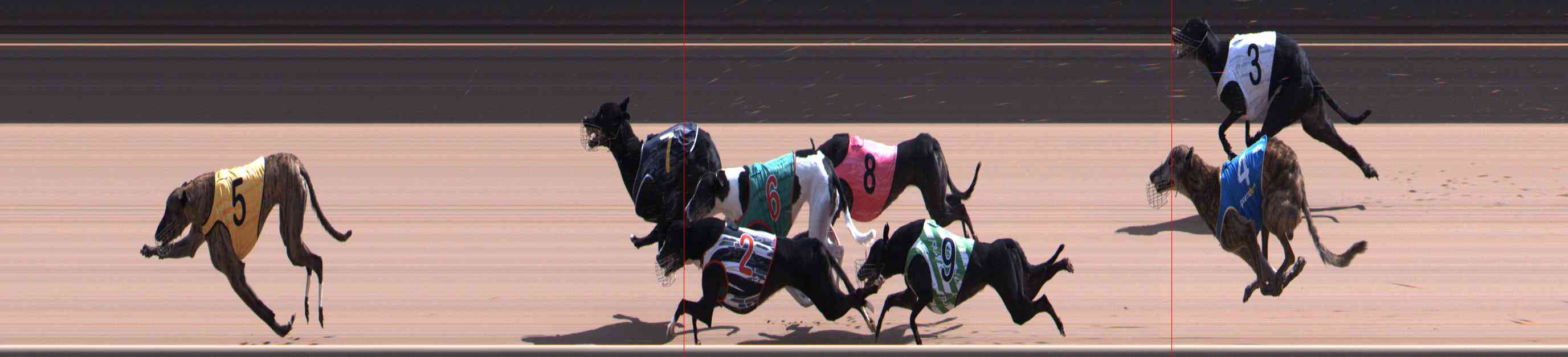 Photo finish for Healesville Race 12