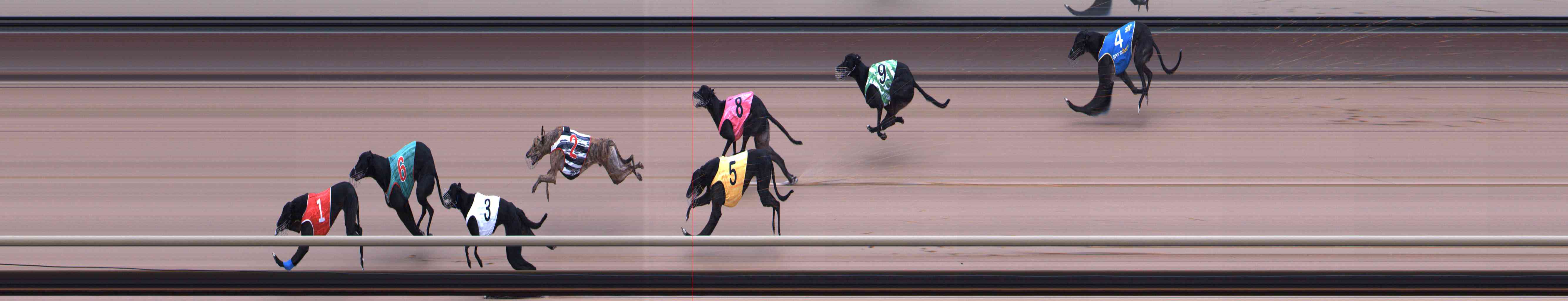 Photo finish for Healesville Race 2