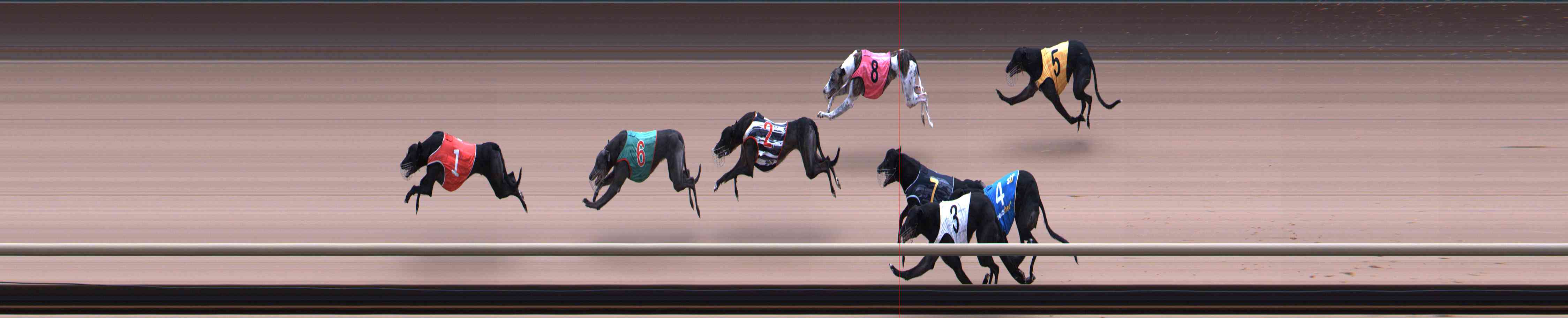 Photo finish for Healesville Race 3