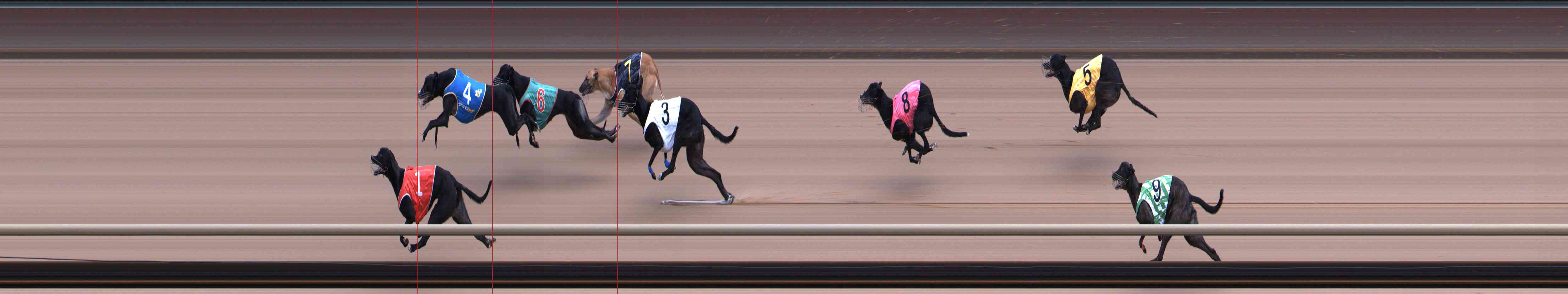 Photo finish for Healesville Race 4