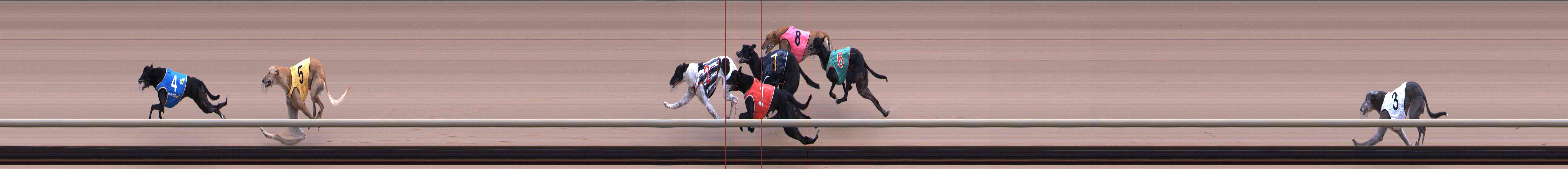 Photo finish for Healesville Race 5