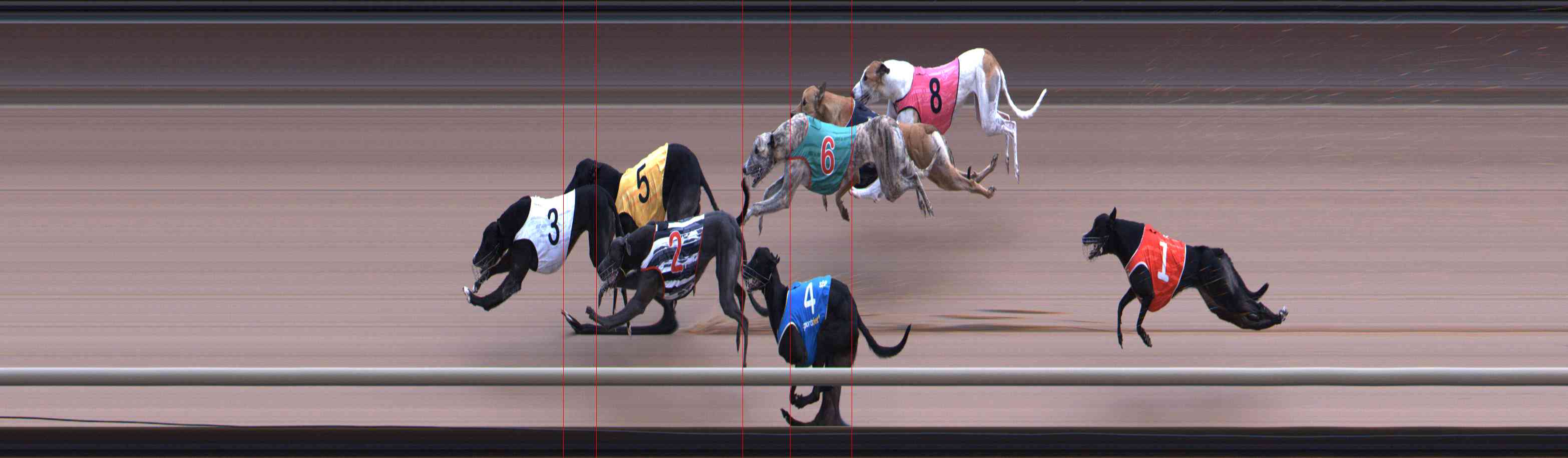 Photo finish for Healesville Race 6