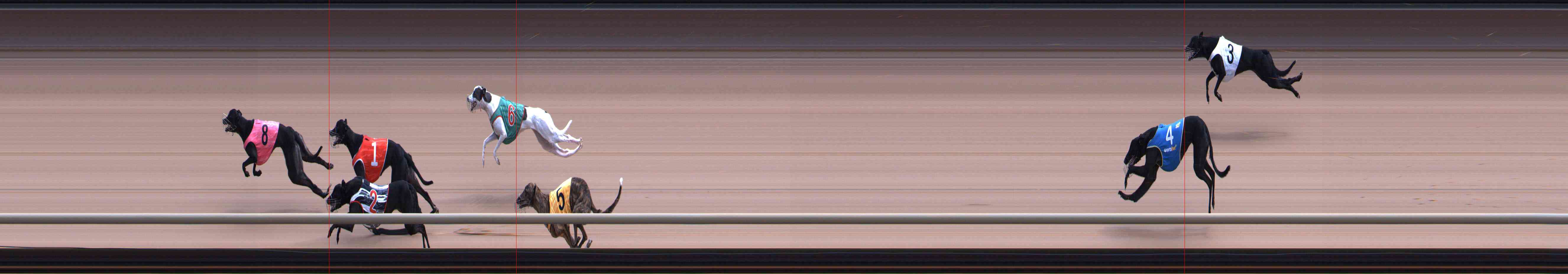 Photo finish for Healesville Race 7