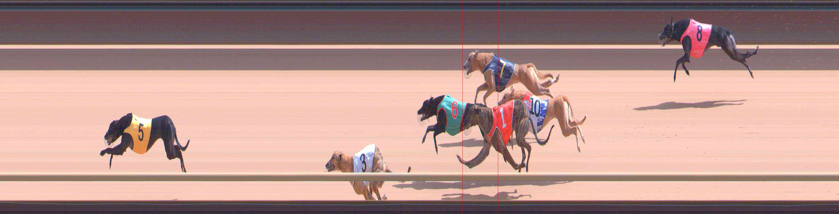 Photo finish for Healesville Race 8